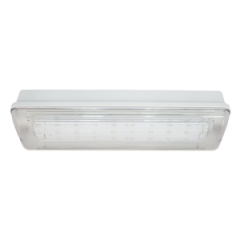 Аварийный светильник автономный SL-213-30LED1.8 (исп. 1)