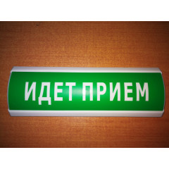 Светоуказатель Люкс-12 (12В) 