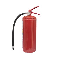 Огнетушитель порошковый ОП-4(з)-ABCE (2А, 55В, С, Е) (ЗПУ латунь) РИФ