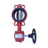 Затвор дисковый межфланцевый с редуктором модель DF, DN:80 VikArm